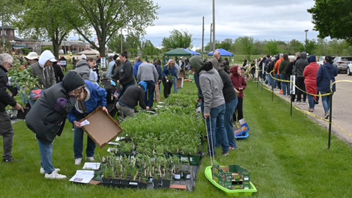 University of Illinois Plant Sale in Grayslake